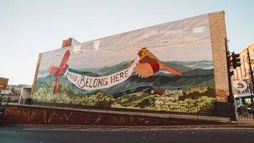 Un mural en un edificio que muestra aves y el texto 'YOU BELONG HERE'.