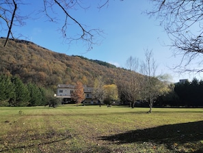 Jardí