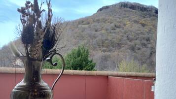 Comfort Double Room, 1 Queen Bed, Ensuite, Mountain View | Mountain view
