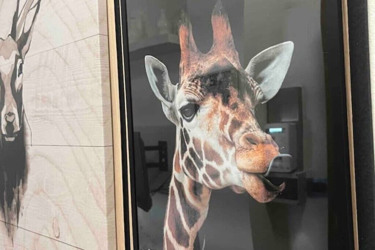 Bild für Gastgeberprofil