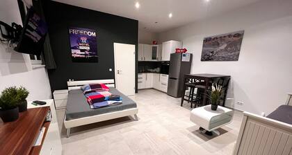 Garage 1 Zimmer Apartment mit Kostenlosem Parkplatz, Zentral