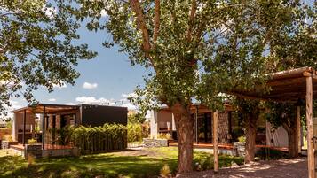 A modern house with a covered patio, a stone wall, and a well-maintained garden.