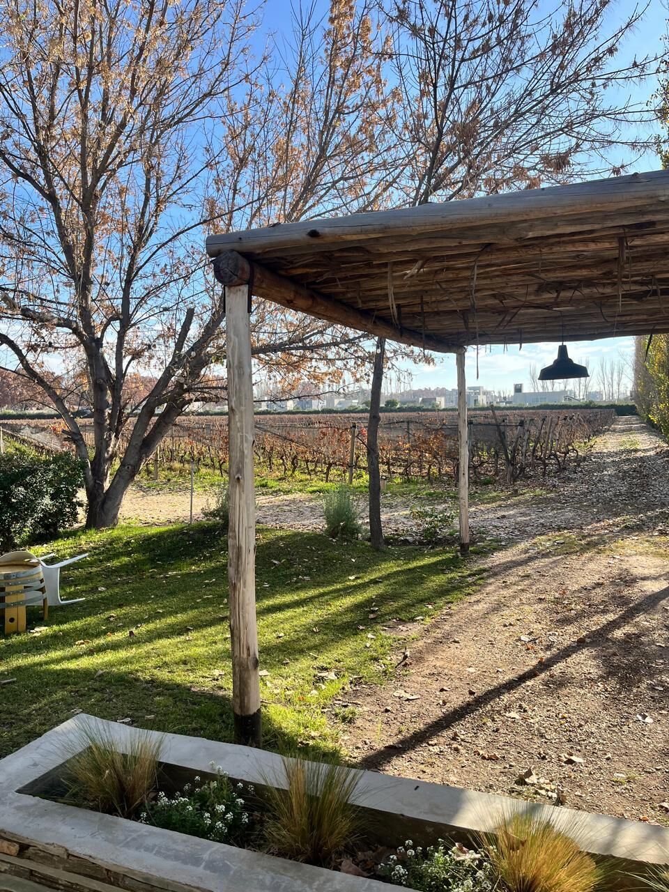 A covered outdoor area with a pergola structure, a garden bed with plants, and a vineyard in the background.