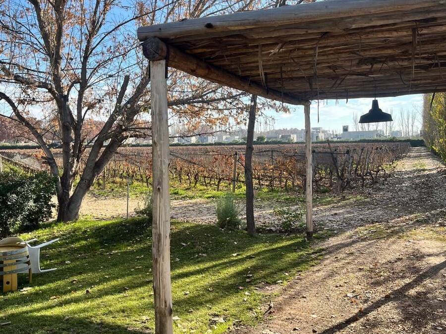 A covered outdoor area with a pergola structure, a garden bed with plants, and a vineyard in the background.