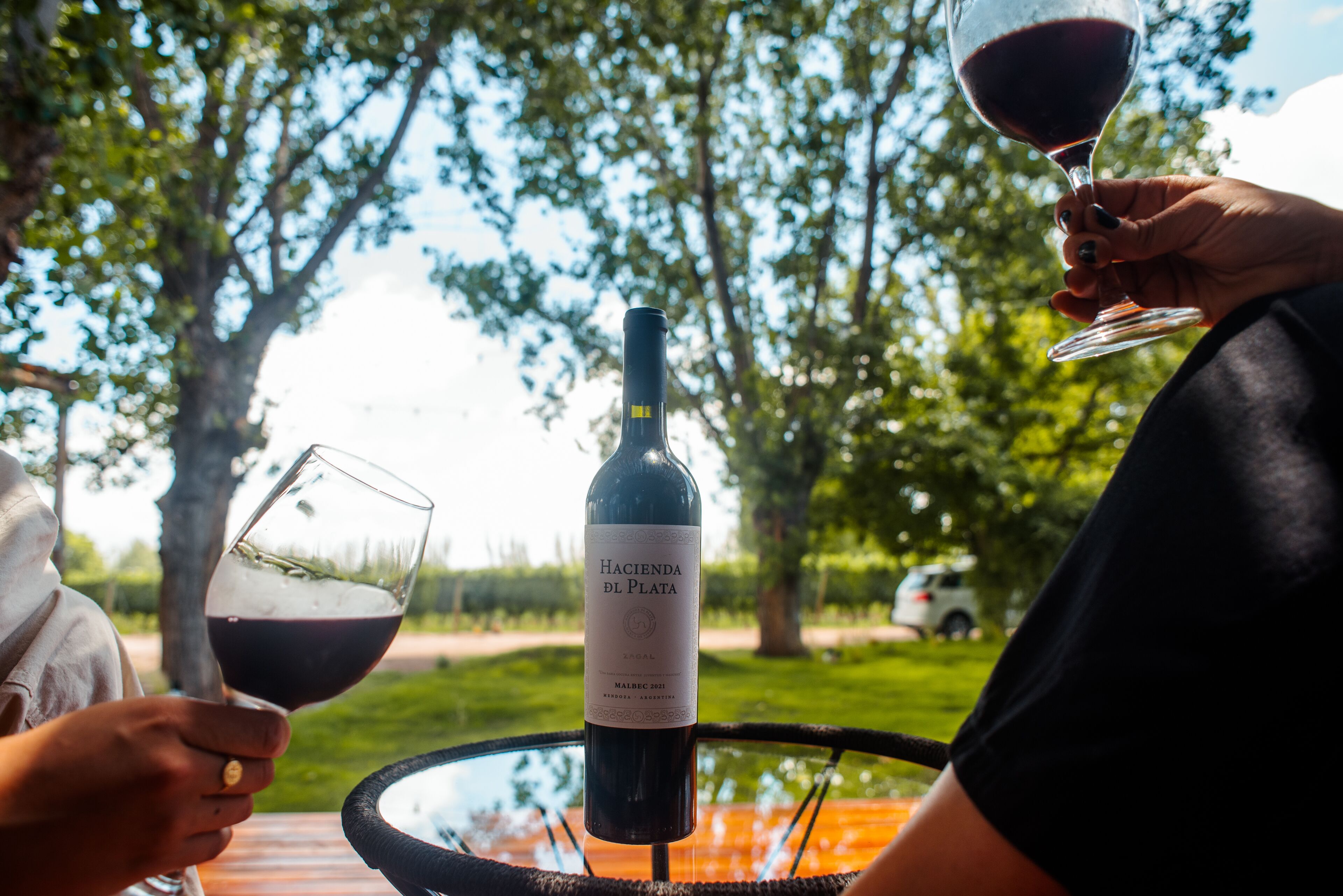 Une bouteille de vin sur une table, avec deux verres de vin rouge.