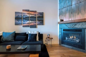 Smart TV, fireplace, books