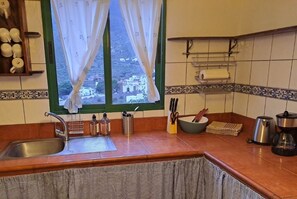 Fridge, oven, stovetop, cookware/dishes/utensils