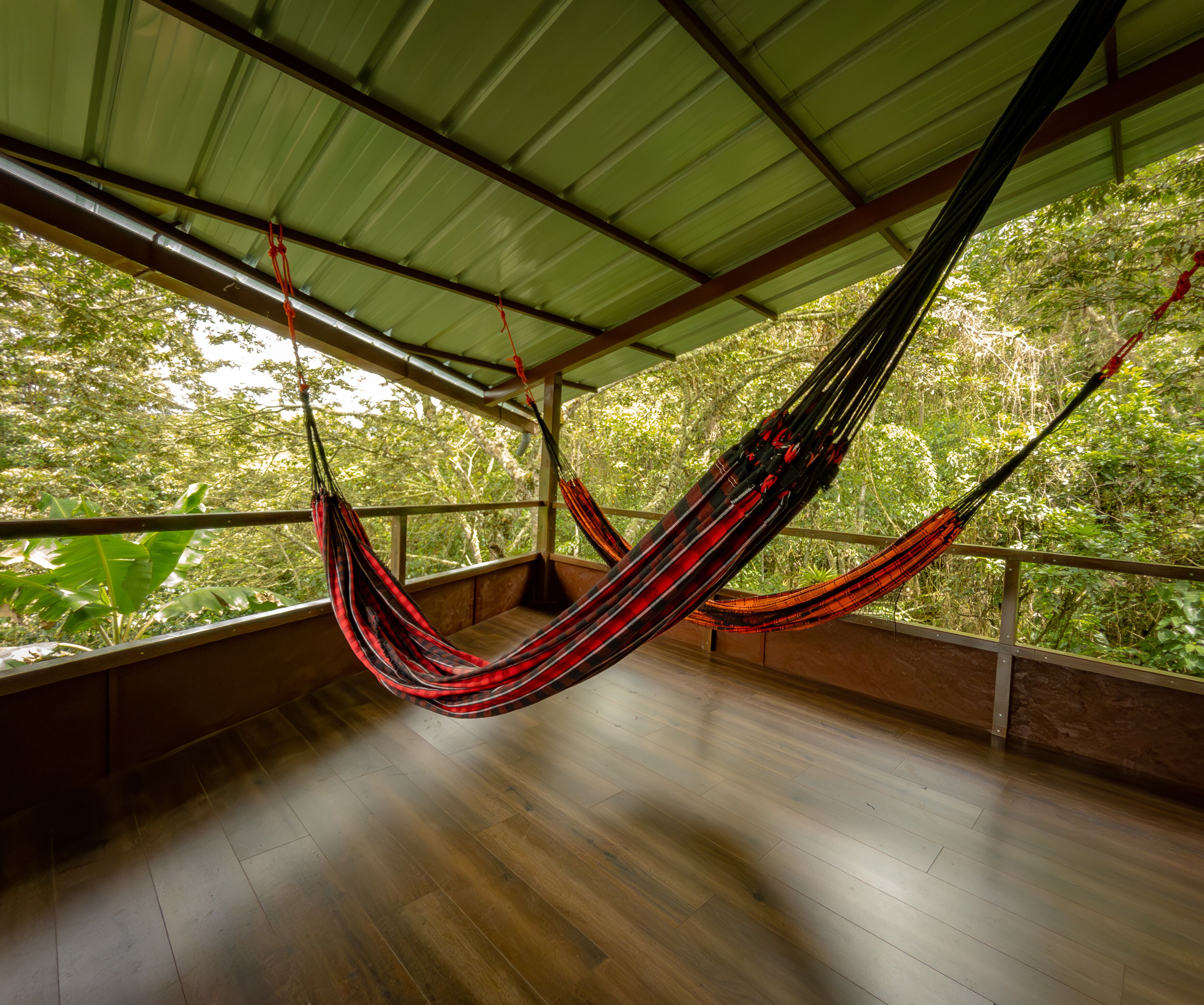 A hammock suspended from a metal roof, wooden flooring, and a view of dense green foliage through large windows.
