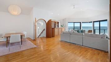 TV, fireplace, books