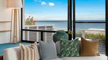 TV, fireplace, books