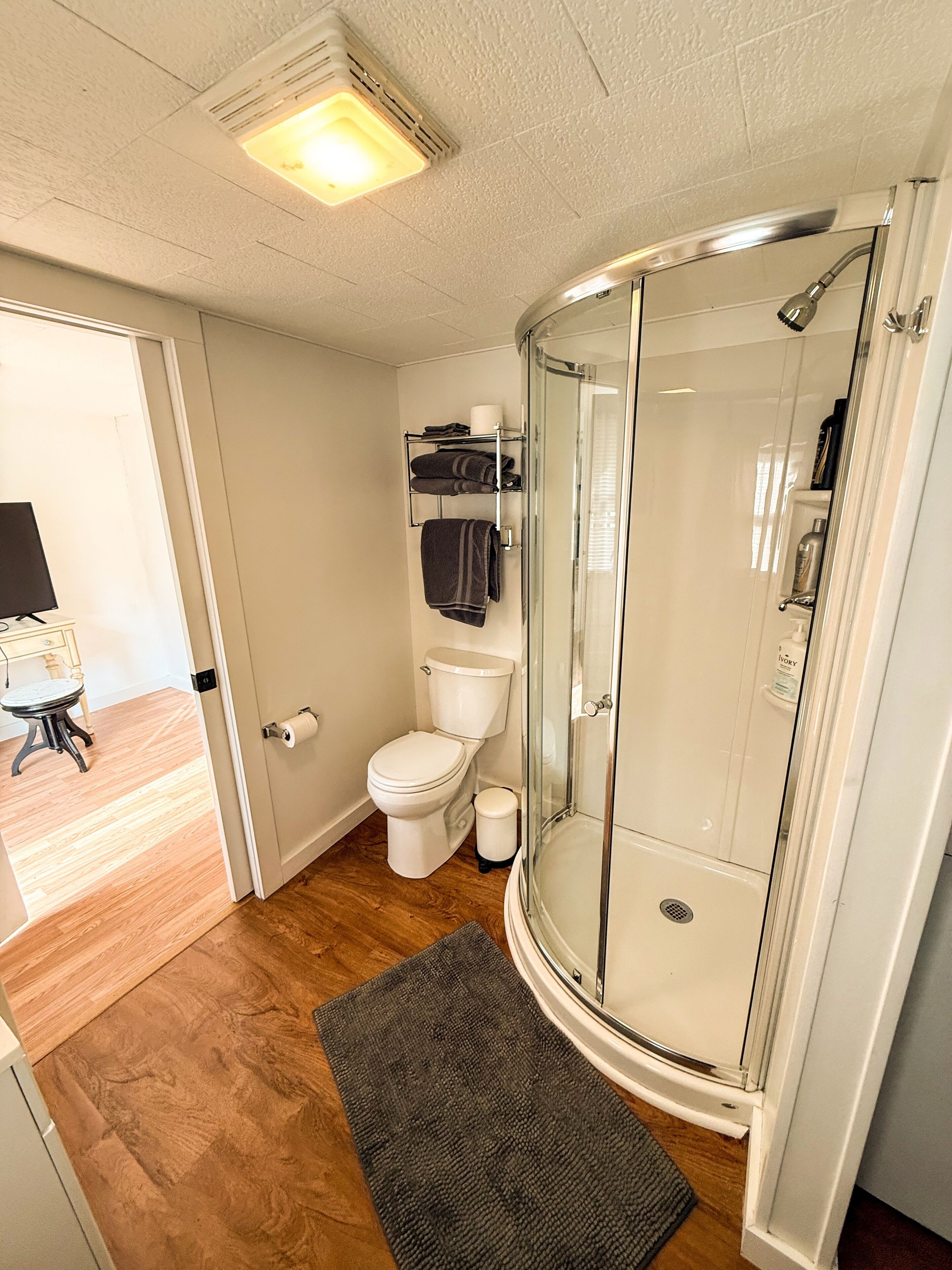 Hair dryer, towels, toilet paper