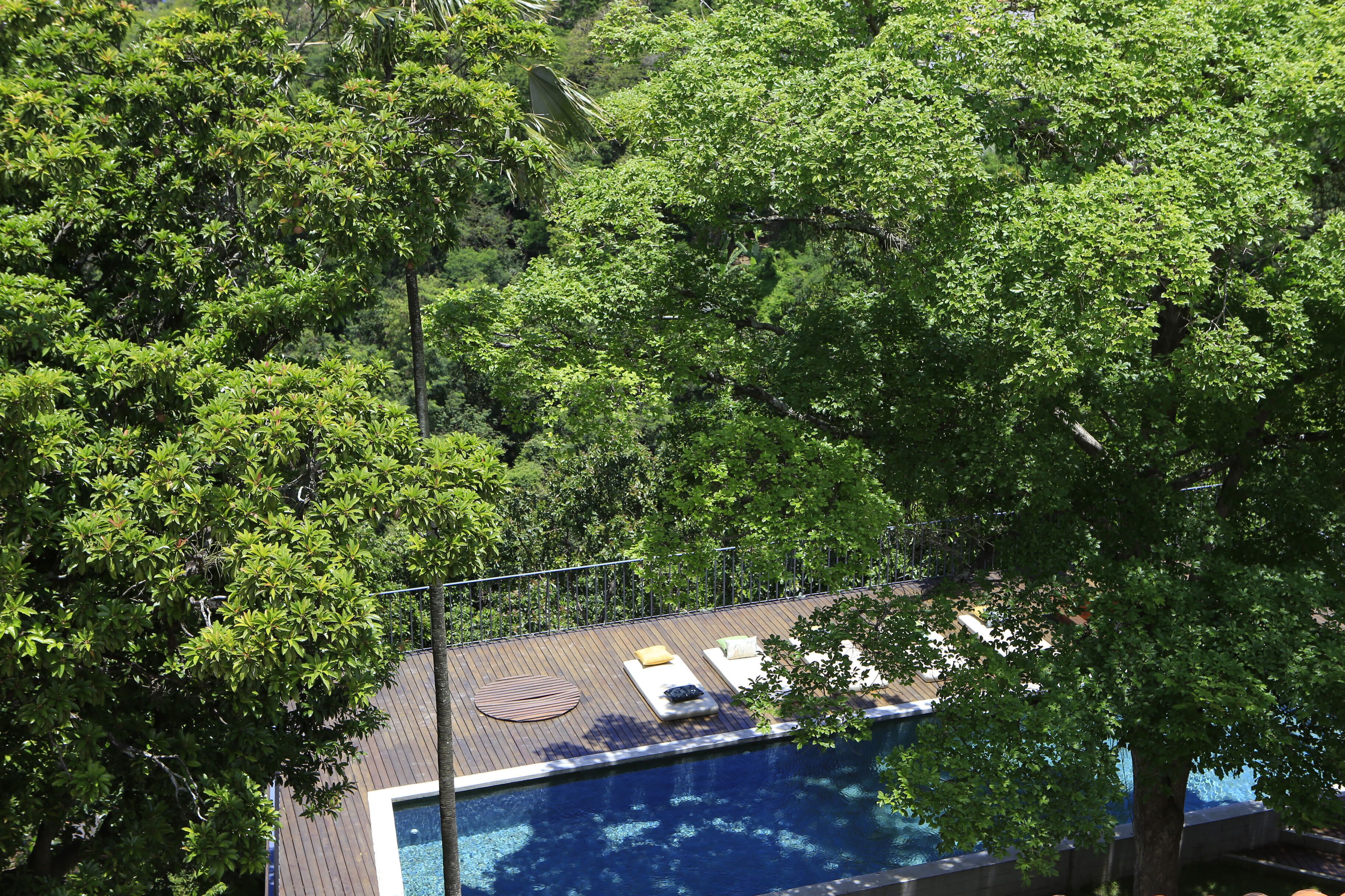 A rooftop pool with lounge chairs and a view of surrounding trees.