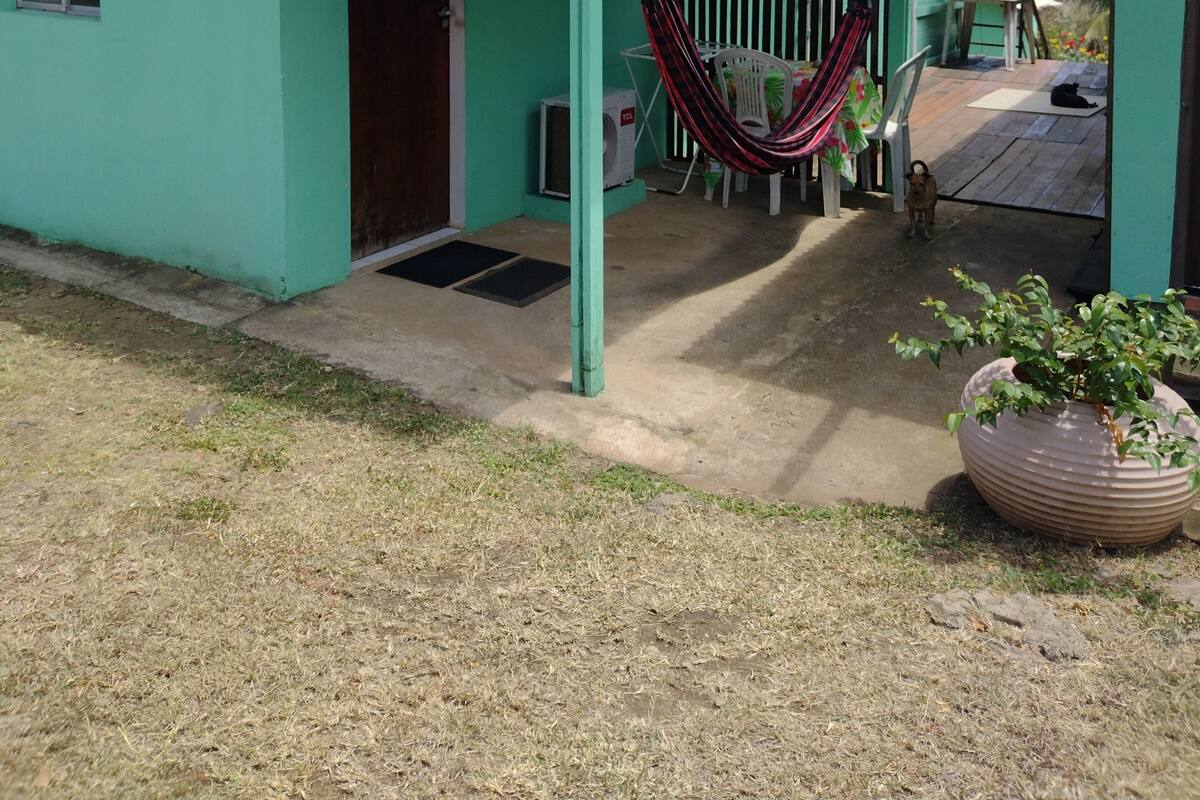 Ein grünes Haus mit einem Ziegeldach, einer Hängematte, einem Blumentopf und einem Hund.