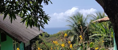 Vista dalla struttura