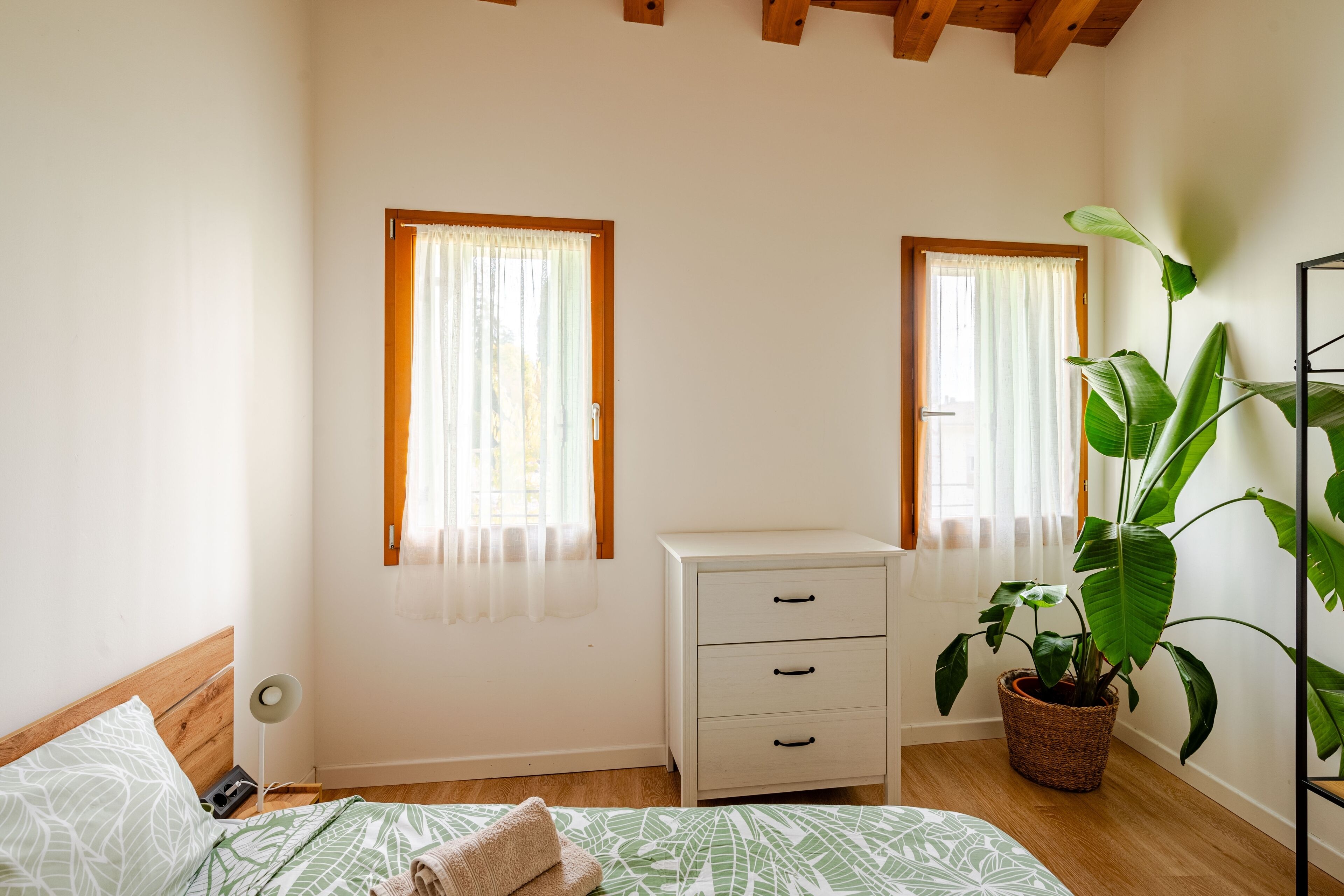 A bedroom with a bed, a bedside table, a dresser, two windows with curtains, and a potted plant.