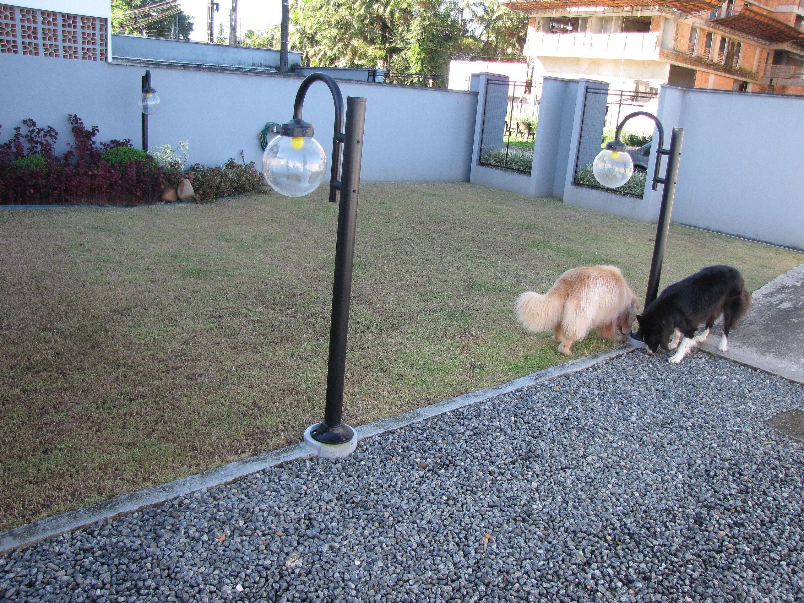 A paved area with two spherical street lamps, a grassy lawn, and a dog near a building.