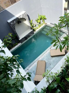 Pool - Luna Ola Villa Berawa - 3 BR (Kuta Utara)