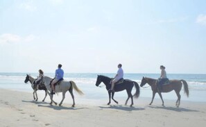 Ein Strand mit Personen, die Pferde reiten.