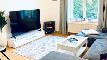 Televisión, chimenea, libros