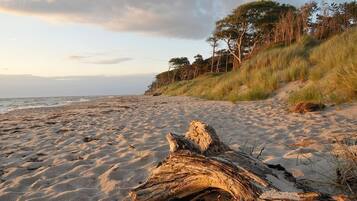 Una playa cerca