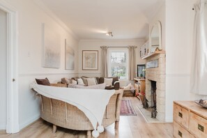 TV, fireplace, books