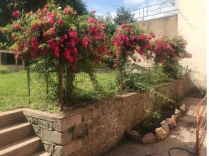 Overnattingsstedets uteområder