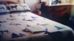 Double or Twin Room | WiFi (free) - Inchbae Lodge  (Garve)