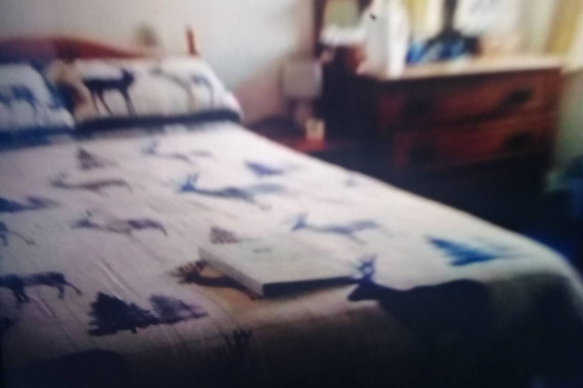 Double or Twin Room | WiFi (free)