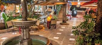 The Octopus's Garden