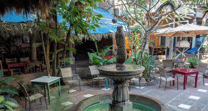The Octopus's Garden