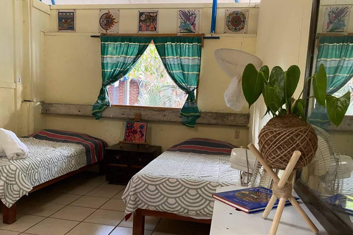 A room with two beds, a fan, a plant, and a window with curtains.