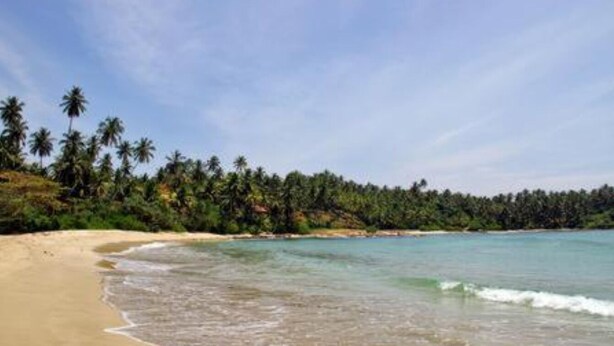 Una playa con aguas turquesas cristalinas, orilla de arena y una hilera de palmeras.