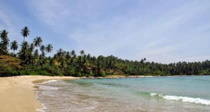 Deluxe Double Room 2 Adults + 1 Child + Breakfast