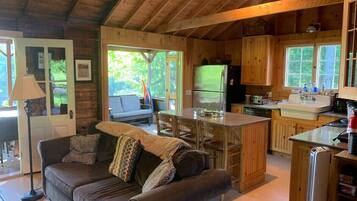Smart TV, fireplace, books, stereo