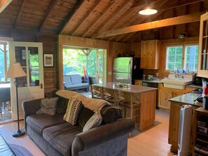 Smart TV, fireplace, books, stereo