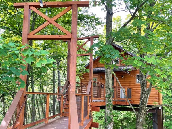 Property grounds - Cozy Treehouse Cabin with Treetop Views (Millersburg)