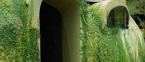 Exclusive Villa | Exterior