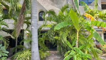 Vista frontal de la propiedad