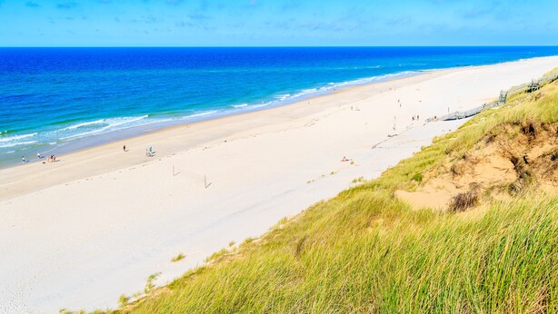 Ein Strand mit freiem Blick auf den Ozean, sandigem Ufer und grünen Dünen.
