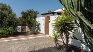 Un edificio con entrada pavimentada, rodeado de diversos cactus y arbustos.