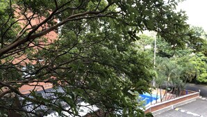 A view of a building with a brick facade and a tree in the foreground.