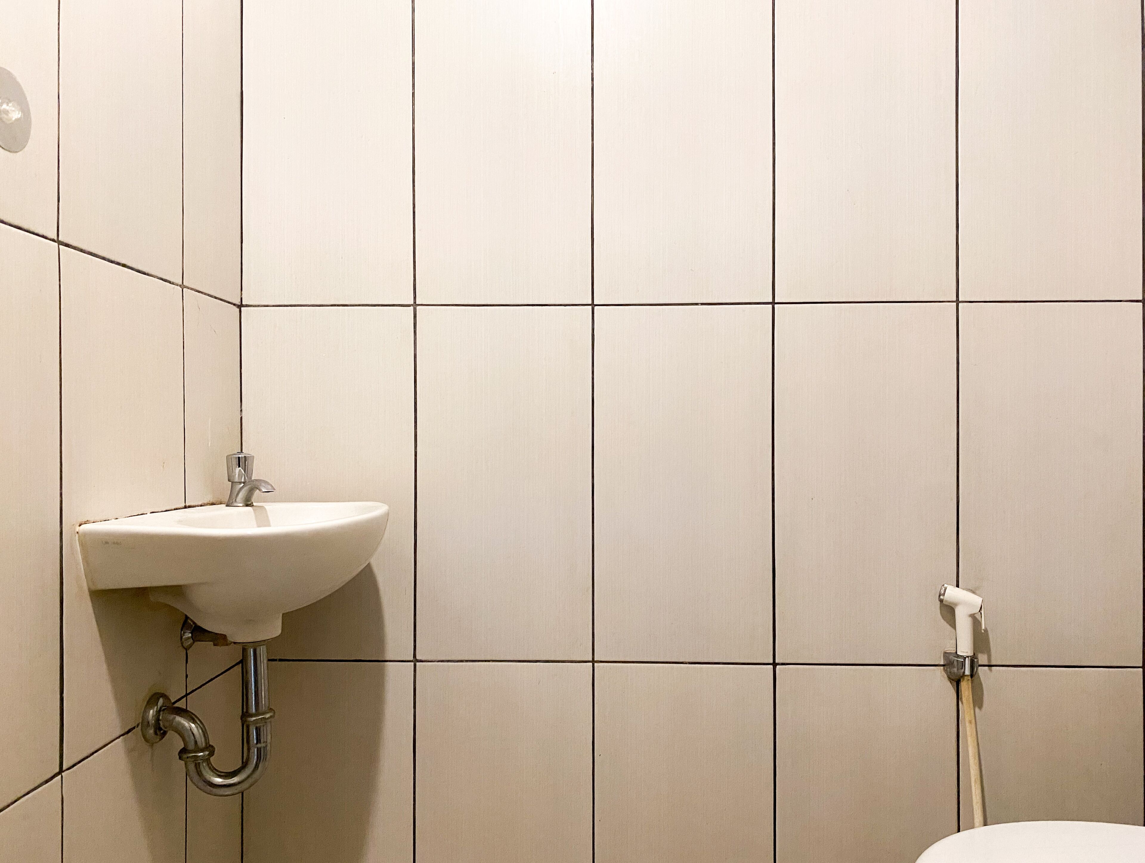 A bathroom with a sink, a toilet, and a shower.