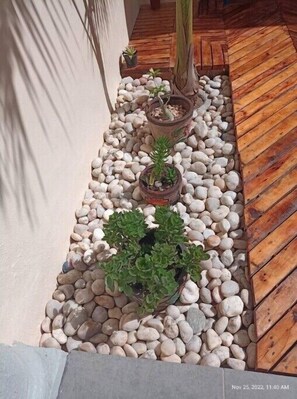 Stroll along the winding pathway lined with lush potted plants and a rustic wooden deck.