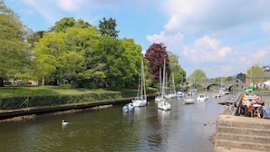 A river with boats, a bridge, and a park with trees. - Little Rondeval (Totnes)