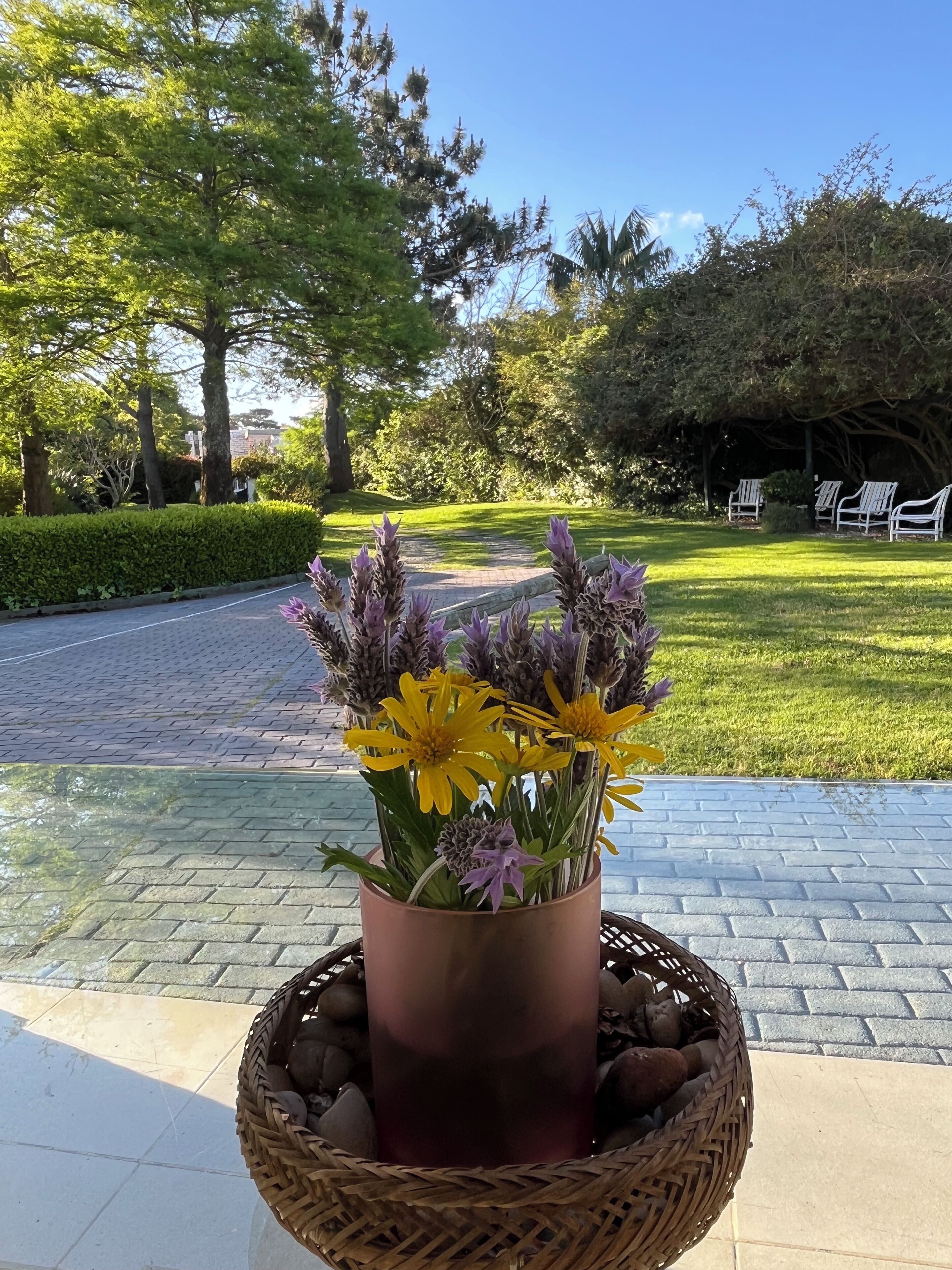 Blick auf den Garten