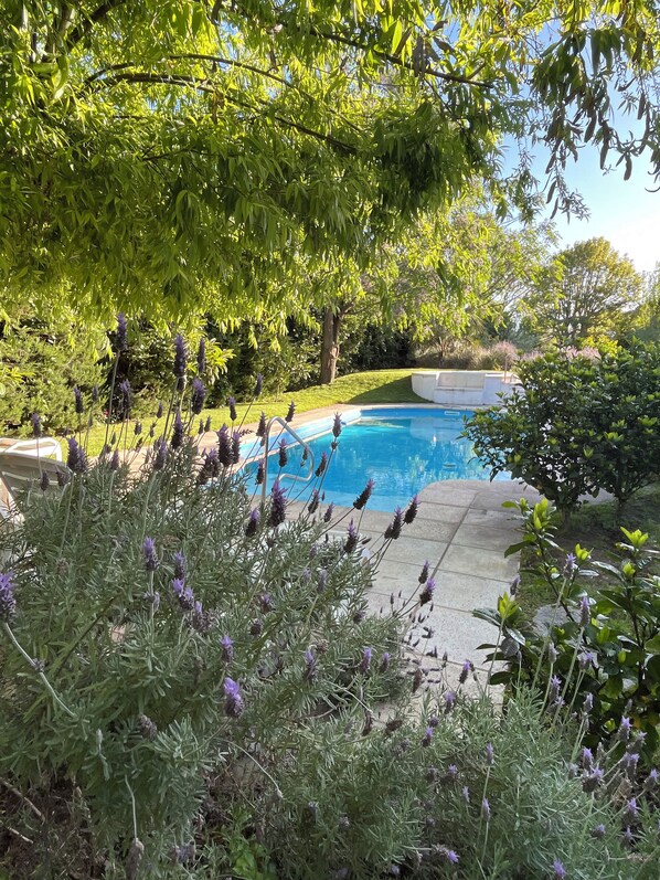 Piscine extérieure (ouverte en saison)