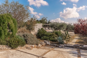A garden with stone walls, various plants, and a stone pathway.