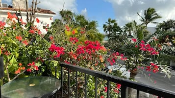 Estudio familiar | Terraza o patio