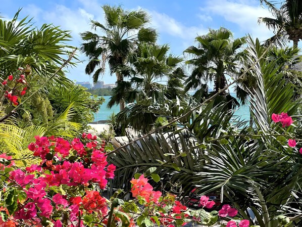 Studio Familial | Terrasse/Patio
