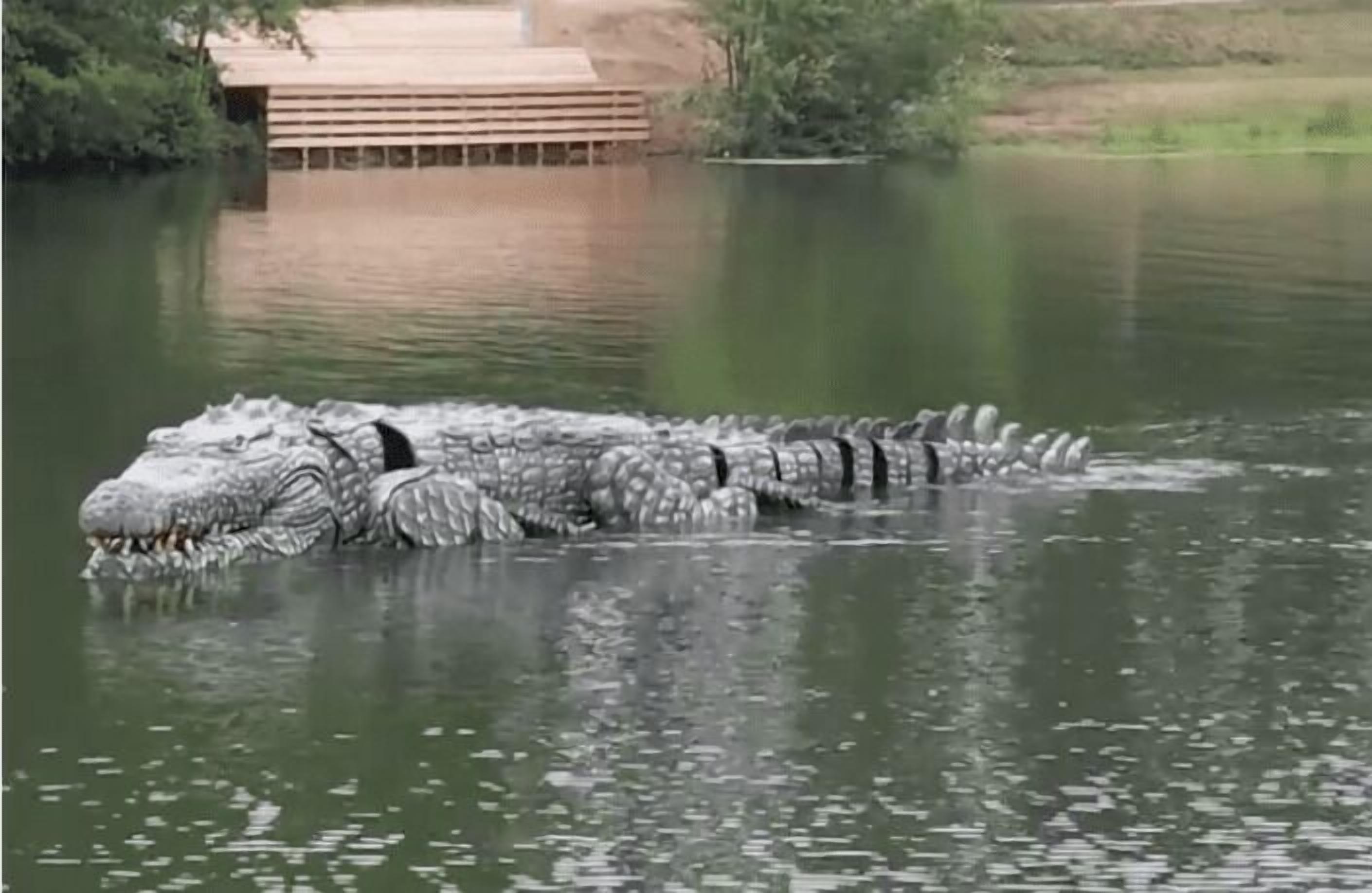 Un cocodrilo en el agua con una estructura de madera al fondo.